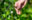 rDarren Cool – 07792308722 – www.dcoolimages.com