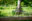 rDarren Cool – 07792308722 – www.dcoolimages.com