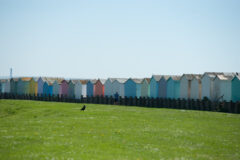 Beach-huts-Worthing