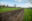 Brooklands-cable-route-topsoil