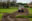 Brooklands-reinstatement