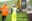 Construction_commences_onshore