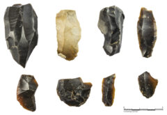 Photo-29-The-earliest-finds-from-the-Rampion-excavation-Site-S-flint-blade-tools-and-a-blade-core-TMB15-6000-flint-