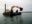 The-Stour-with-excavator