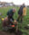 first-tree-planting