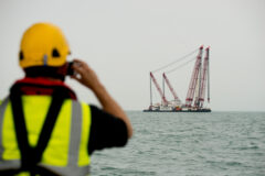 visiting-rampion