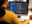 wilddog-office-2