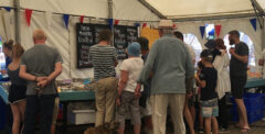 Fish-Festival-fish-stand-e1501079635289